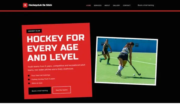 Motyw Hockeyclub De Stick