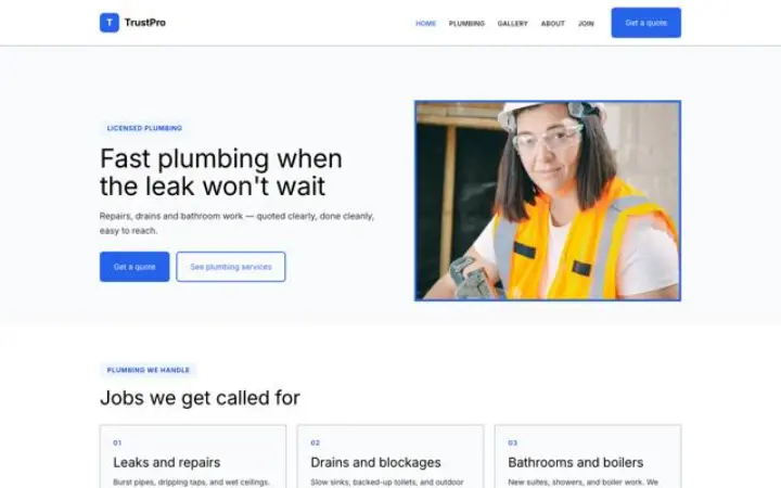 Motyw TrustPro
